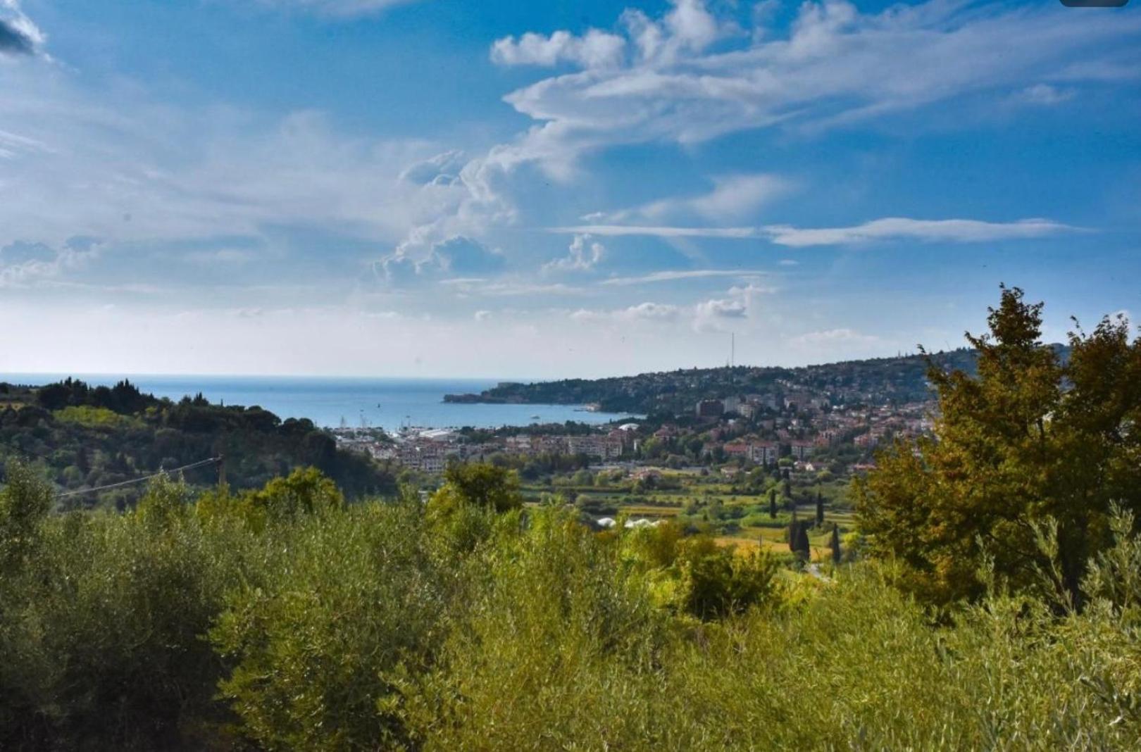 Apartma Med Oljkami Spodnji Portoroz Exterior photo